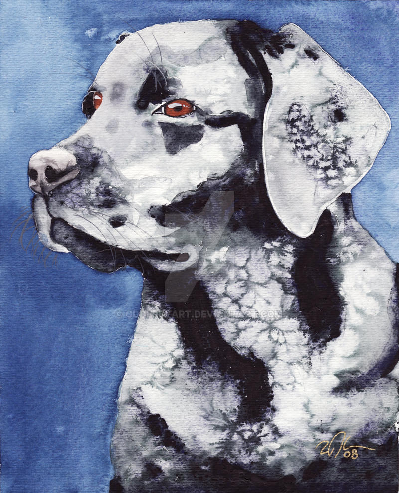 Black Lab Deviantart Blacker Lab by OdderByArt on DeviantArt