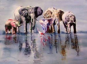 The final Elephants...