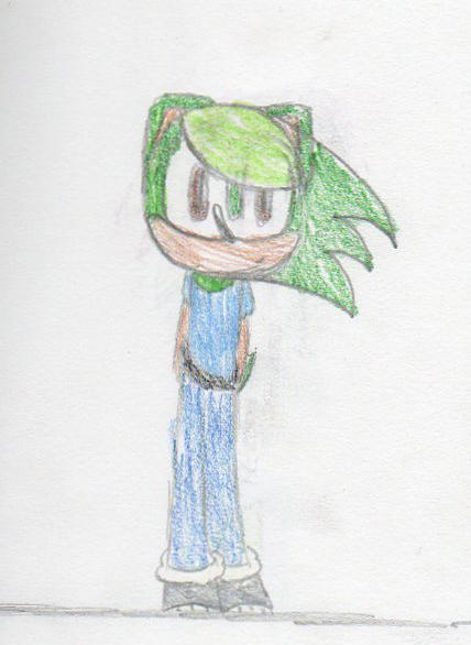 Rory the Hedgehog by bluepenguingirl on DeviantArt