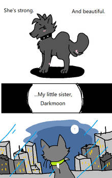 Light in the Dark: Slider's Side Story P1
