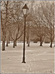 Park in winter - Osijek by SeiMissTake