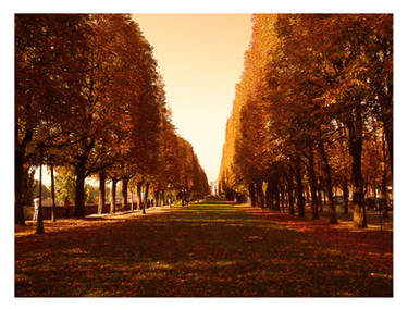 Park in Paris