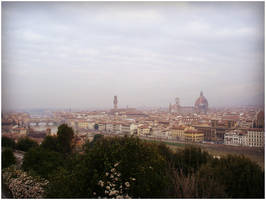 Firenze (panorama view)