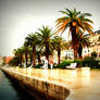 Split Waterfront