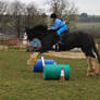 Big Horse, Little Rider, Tiny Jump