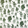 Potted Plants pattern