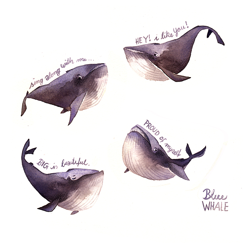 Blue Whales