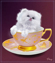 Tea Cup Cat