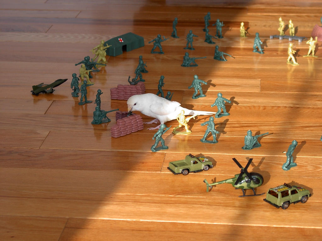 birdy_at_war_with_toy_soldiers_by_valyndris_dc53xo0-fullview.jpg