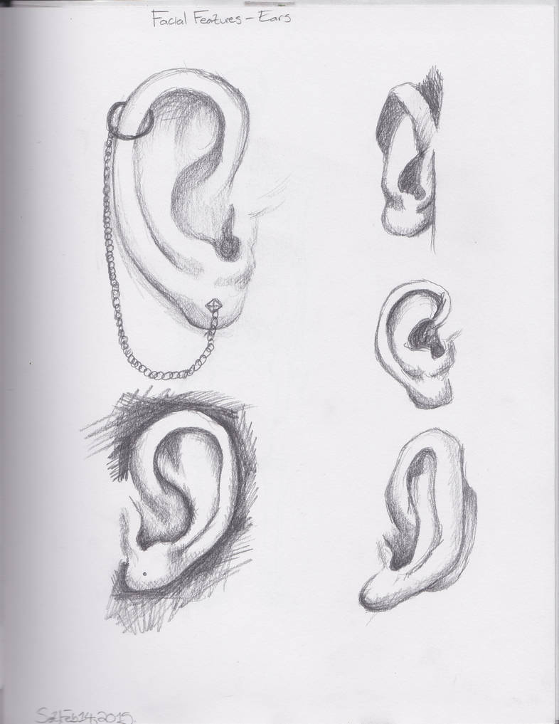 Ear study by Exiru on DeviantArt