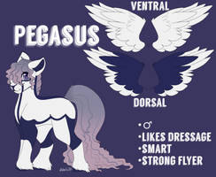 Pegasus