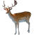 Deer icon