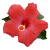 Flower icon.12