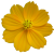 Flower icon.20