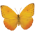 Butterfly icon.5 by RedqueenAllison