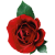 Rose icon