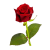 Rose icon.2