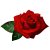 Rose icon.3
