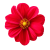 Flower icon.30