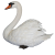 Swan icon