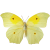 Butterfly icon.12