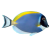 Fish icon.6