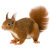 Squirrel icon.3