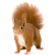 Squirrel icon.4