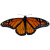 Butterfly icon.17