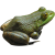 Frog icon.3