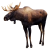 Moose icon