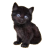 Kitten icon.4