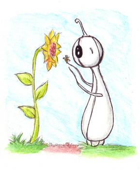 Quibble and the Sunflower