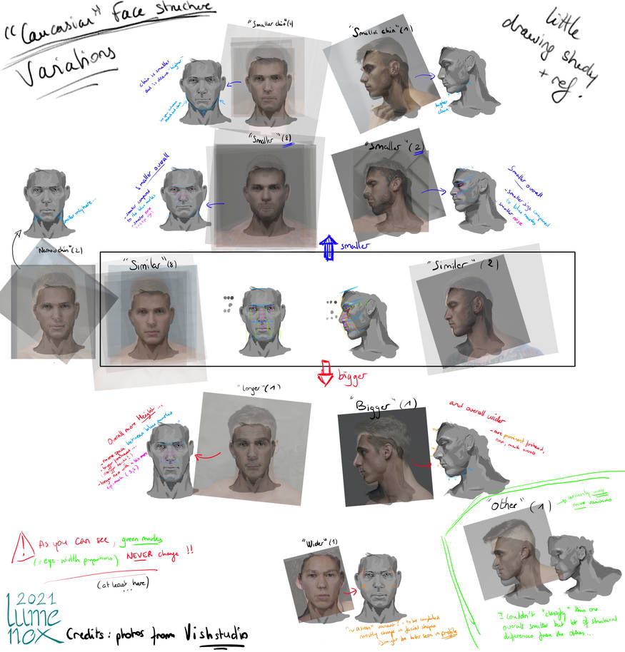 Face Structure Variations (caucasian) by Lumenox on DeviantArt