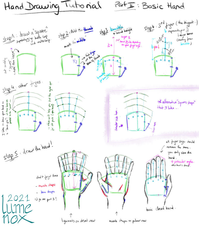 Hand Tutorial Part 2: basic hand by Lumenox on DeviantArt