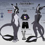 Jackabee anthro ref