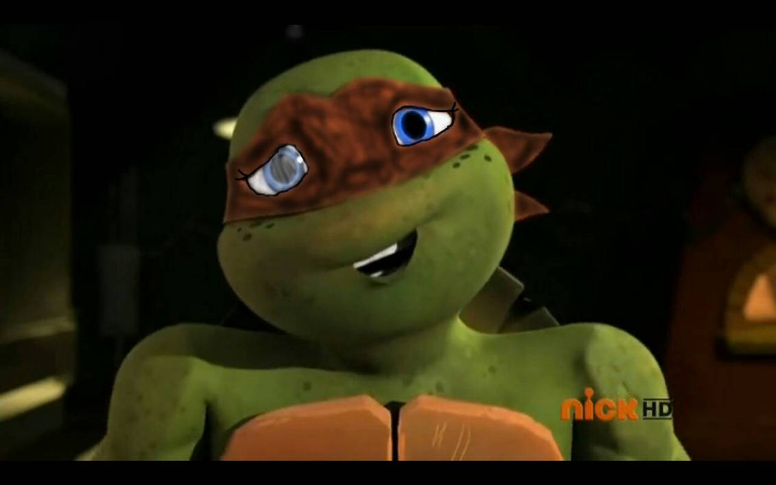Tmnt Oc by BellRoseTheHedgehog on DeviantArt