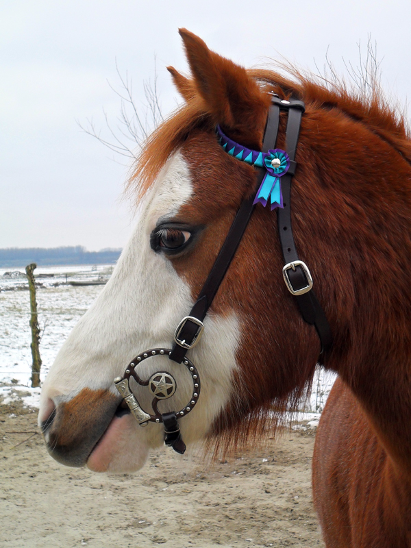 Hybrid Bridle I