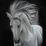 Shadowfax