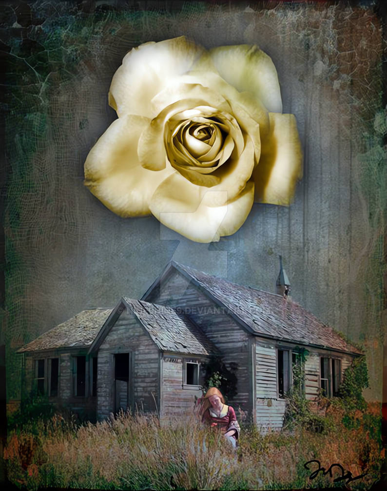 Where have all the flowers gone? by nine9nine9 on DeviantArt