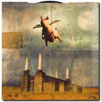 Pink Floyd Record Sleeve by nine9nine9