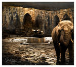 Elephant Walk by nine9nine9