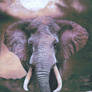 Elephant: Nature's Great Masterpiece