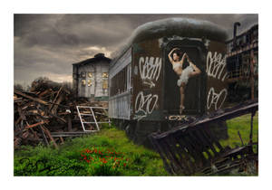 Beauty among the rubble... by nine9nine9 Beauty among the rubble... by nine9nine9