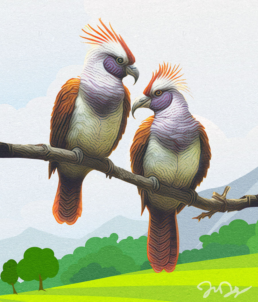 Birds Deviantart Birds of a feather... by nine9nine9 on DeviantArt