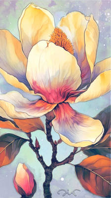 Long Tall Magnolia II