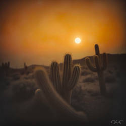 Lonesome Desert