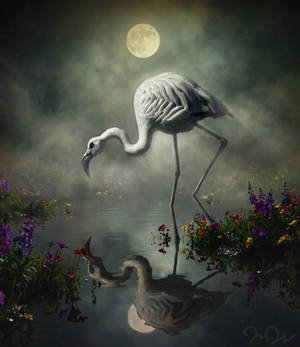 Cement Flamingo's Full Moon Creep