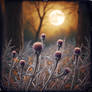 Moonlit Thistle Forest