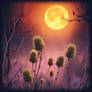 Full Moon Over Thistle Field IV